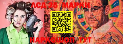 индика Будённовск