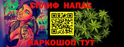 индика Будённовск